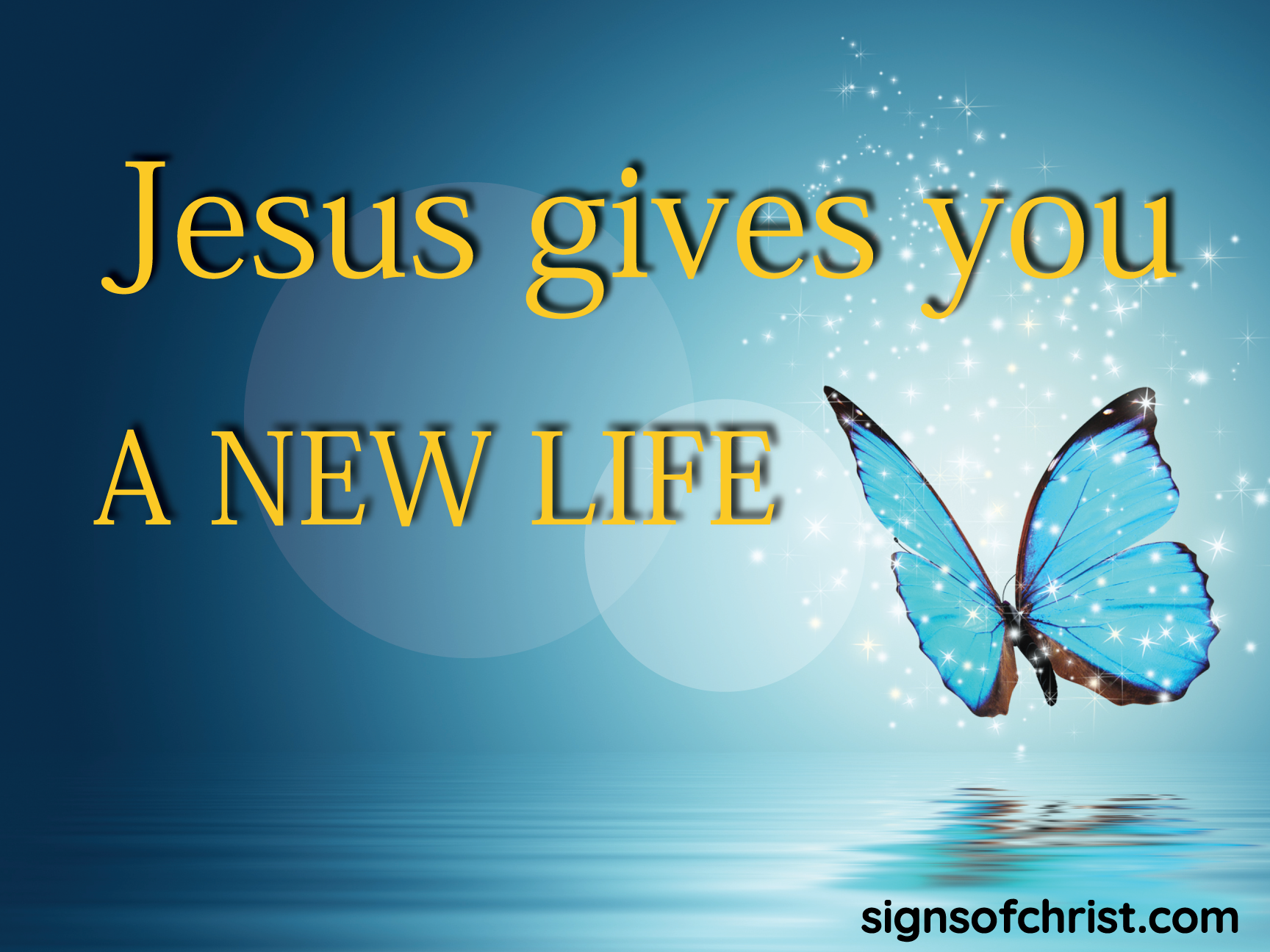 Jesus gives you a new life yard sign